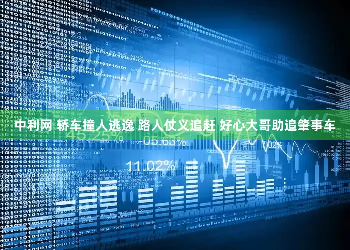 中利网 轿车撞人逃逸 路人仗义追赶 好心大哥助追肇事车