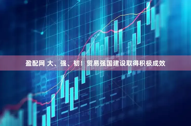 盈配网 大、强、韧！贸易强国建设取得积极成效