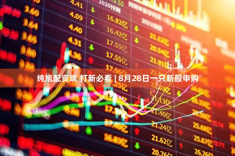 纯旭配资端 打新必看 | 8月28日一只新股申购